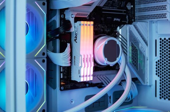 Kingston Пам'ять ПК DDR5 32GB 5600 FURY Beast Білий RGB EXPO KF556C36BWEA-32 фото