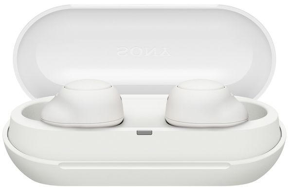 Навушники Sony WF-C500 TWS IPX4 Білий WFC500W.CE7 фото