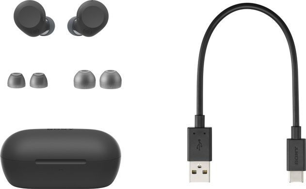 Sony Навушники TWS WF-C710N BT 5.3, ANC, IPX4, SBC, AAC, Mic, Чорний WFC710NB.E фото