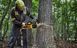 DeWALT Пила ланцюгова акумуляторна безщіткова 54В XR FLEXVOLT шина 50см OREGON 3/8 1.3мм 5.7кг без АКБ та ЗП 2 - магазин Coolbaba Toys