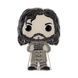Funko Фігурка Funko POP PIN: Harry Potter - Sirius Black 1 - магазин Coolbaba Toys