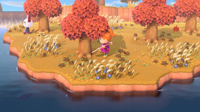 Игра консольная Switch Animal Crossing: New Horizons, картридж 1134053 фото