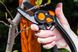 Neo Tools Секатор контактний, d різу 18мм, 200мм, 240г 7 - магазин Coolbaba Toys