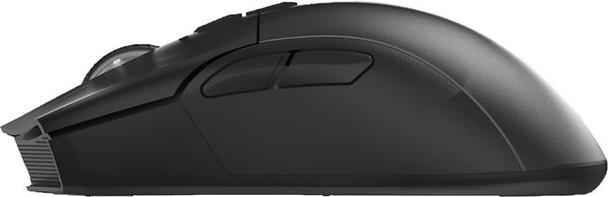 Dream Machines Mouse DM9 Skill Black DM9_SKILL фото