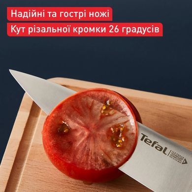 Tefal Набор ножей Ice Force, 2шт, нержавеющая сталь, пластик, черный K232S224 фото