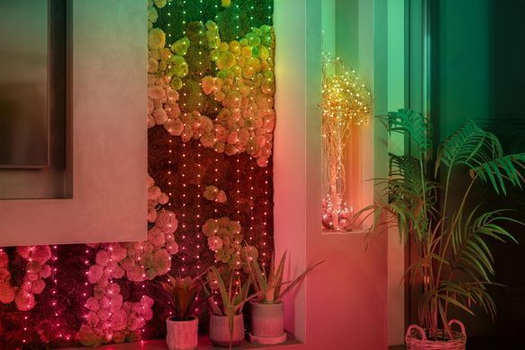 Twinkly Гірлянда Smart LED Twinkly Candies Pearl RGB 100 IP20 6м USB-C кабель прозорий без БЖ TWKP100RGB-T фото