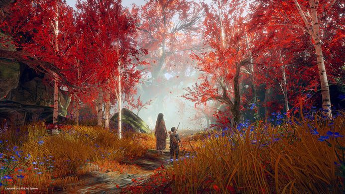 Games Software God of War (PS4) 9808824 фото