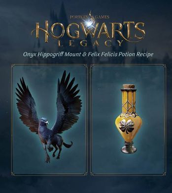 Games Software Hogwarts Legacy [Blu-Ray диск] (PS4) 5051895413418 фото