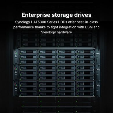 Synology Жорсткий диск 3.5" 20TБ SATA 7200 HAT5310-20T фото