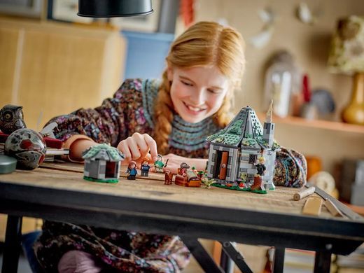 LEGO Конструктор Harry Potter Хатинка Геґріда: Несподівані гості 76428 фото