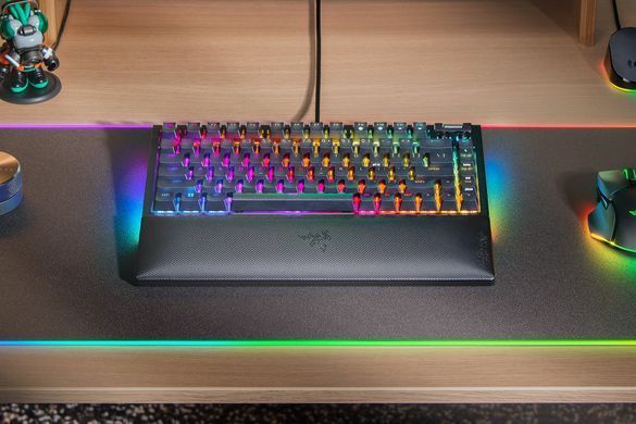 Razer Клавиатура BlackWidow V4 75% RGB 83key Mechanical Tactile Switch GEN-3 USB EN, чёрный RZ03-05000100-R3M1 фото