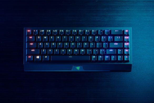 Razer Клавиатура игровая BlackWidow V3 Mini HyperSpeed Green Switch WL/BT/USB RU RGB, Black RZ03-03891600-R3R1 фото
