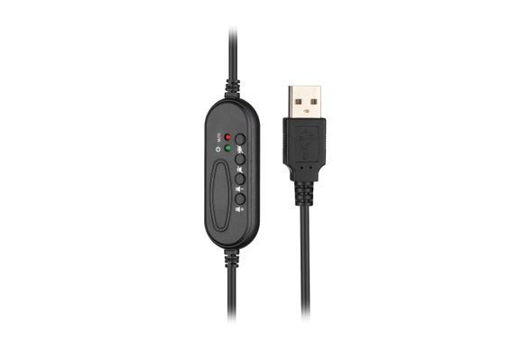 2E Гарнитура ПК стерео Over-ear CH13 USB, omni-mic, 2м, черный 2E-CH13SU фото