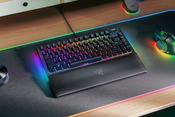 Razer Клавиатура BlackWidow V4 75% RGB 83key Mechanical Tactile Switch GEN-3 USB EN, чёрный RZ03-05000100-R3M1 фото