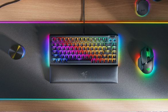 Razer Клавиатура BlackWidow V4 75% RGB 83key Mechanical Tactile Switch GEN-3 USB EN, чёрный RZ03-05000100-R3M1 фото