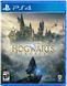Games Software Hogwarts Legacy [Blu-Ray диск] (PS4) 1 - магазин Coolbaba Toys