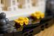 LEGO Конструктор LEGO Architecture Нью-Йорк &mdash; &laquo;Велике яблуко&raquo; 9 - магазин Coolbaba Toys