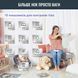 Tefal Ваги підлогові Goodvibes Life, 160кг, Bluetooth, AAAx3 в комплекті, скло, сірий 11 - магазин Coolbaba Toys