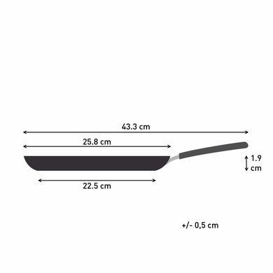Tefal Сковорода для блинов So' Light, 25см, алюминий, бакелит, черный H0563842 фото