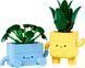 LEGO Конструктор LEGO Botanicals Щасливі рослини 2 - магазин Coolbaba Toys