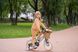 Дитячий велосипед Miqilong RM 12" бежевий 15 - магазин Coolbaba Toys