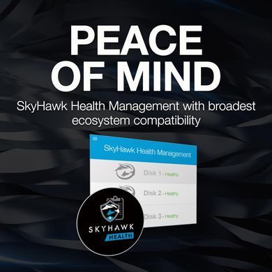 Seagate Жорсткий диск Seagate 12TB 3.5" 7200 512MB SATA SkyHawk AI ST12000VE003 фото