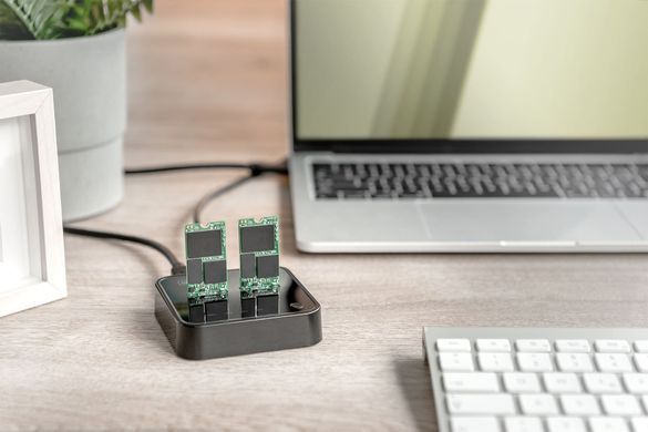Digitus Док-станція DIGITUS Dual M.2 NVMe SSD USB Type-C 3.2 Black DA-71545 фото