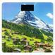 ARDESTO Весы напольные SCB-965MATTERHORN макс. вес 150 кг/рисунок 1 - магазин Coolbaba Toys