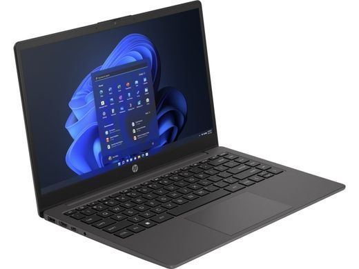 HP Ноутбук 245-G10 14" FHD IPS AG, AMD R3-7330U, 16GB, F256GB, UMA, Win11P, черный 85A08EA фото