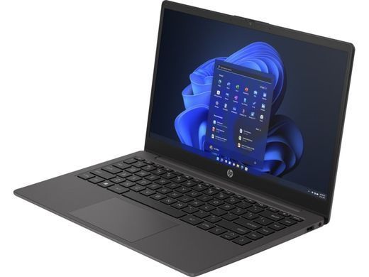 HP Ноутбук 245-G10 14" FHD IPS AG, AMD R3-7330U, 16GB, F256GB, UMA, Win11P, черный 85A08EA фото