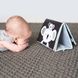 Розвиваюча книжка-розкладушка колекції "Мрійливі коали" - ПРИГОДИ КОАЛИ КІММІ 5 - магазин Coolbaba Toys