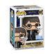 Ігрова фігурка FUNKO POP! серії "Гаррі Поттер" S20 - ГАРРІ З ГЕДВІҐОЮ 1 - магазин Coolbaba Toys