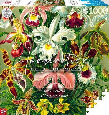 GoodLoot Пазл Ernst Haeckel Orchid 1000 эл. 5908305247531 фото