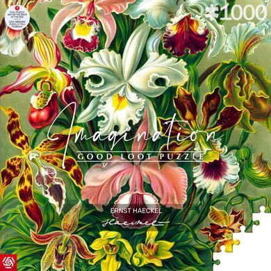 GoodLoot Пазл Ernst Haeckel Orchid 1000 эл. 5908305247531 фото