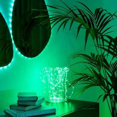 Twinkly Гірлянда Smart LED Twinkly Dots Lights RGB 400 IP44 20м кабель чорний TWD400STP-BEU фото