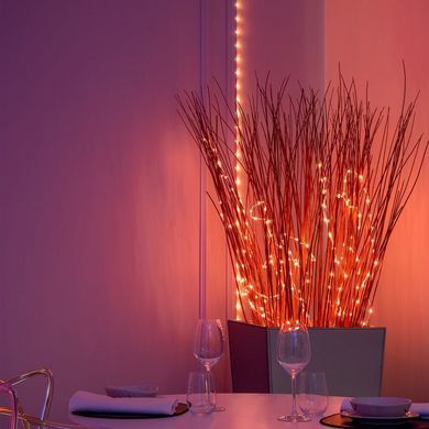 Twinkly Гірлянда Smart LED Twinkly Dots Lights RGB 400 IP44 20м кабель чорний TWD400STP-BEU фото