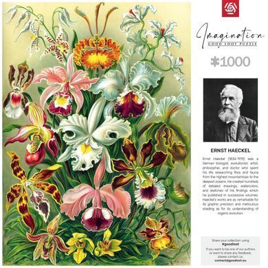GoodLoot Пазл Ernst Haeckel Orchid 1000 эл. 5908305247531 фото