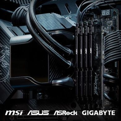 Kingston Память ПК DDR5 32GB KIT (16GBx2) 5200 FURY Beast Black EXPO KF552C36BBEK2-32 фото