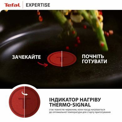 Tefal Tefal Multi Pan, Expertise, with lid, 24cm, aluminum, bakelite, glass, black G3218402 фото