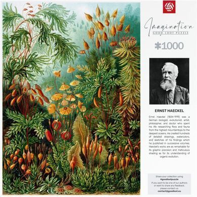 GoodLoot Пазл Imagination: Ernst Haeckel Muscinae Puzzles 1000 эл. 5908305239642 фото