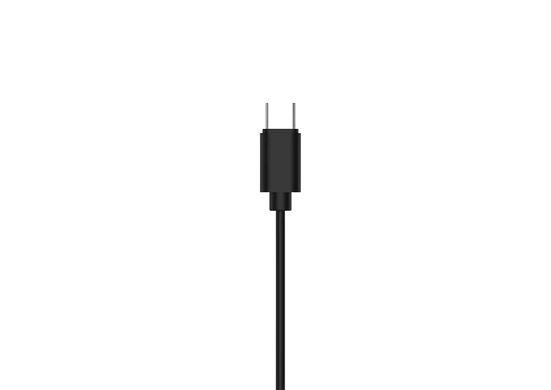 Philips Навушники In-ear TAE2146 Type-C, Mic, Чорний TAE2146BK/00 фото
