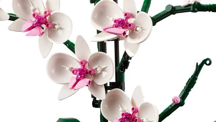 LEGO Конструктор Icons Орхидея 10311- фото