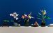 LEGO Конструктор Icons Орхидея 4 - магазин Coolbaba Toys