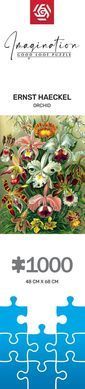 GoodLoot Пазл Ernst Haeckel Orchid 1000 эл. 5908305247531 фото