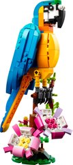 Конструктор LEGO Creator Екзотичний папуга 31136 фото