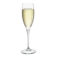 Набір келихів Bormioli Rocco Premium для шампанського, 250мл, h-245см, 6шт, скло 170063GBD021990 фото