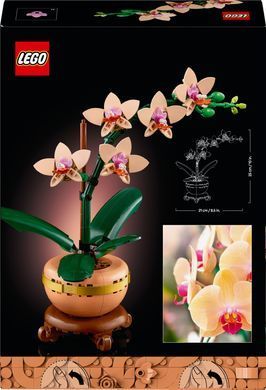 LEGO Конструктор Botanicals Мини орхидея 10343 фото