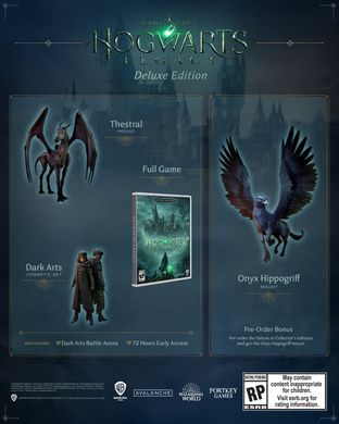 Гра консольна Xbox Series X Hogwarts Legacy. Deluxe Edition, BD диск 5051895415603 фото