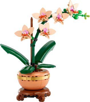 LEGO Конструктор Botanicals Міні орхідея 10343 фото