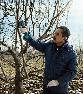 Bosch Секатор Pro Pruner аккумуляторный, 12В, 3.0 Ач, до 25мм, 1кг, сет. 2 акк. 0.601.9K1.021 фото